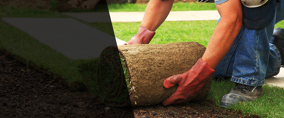 Grandview Landscapers